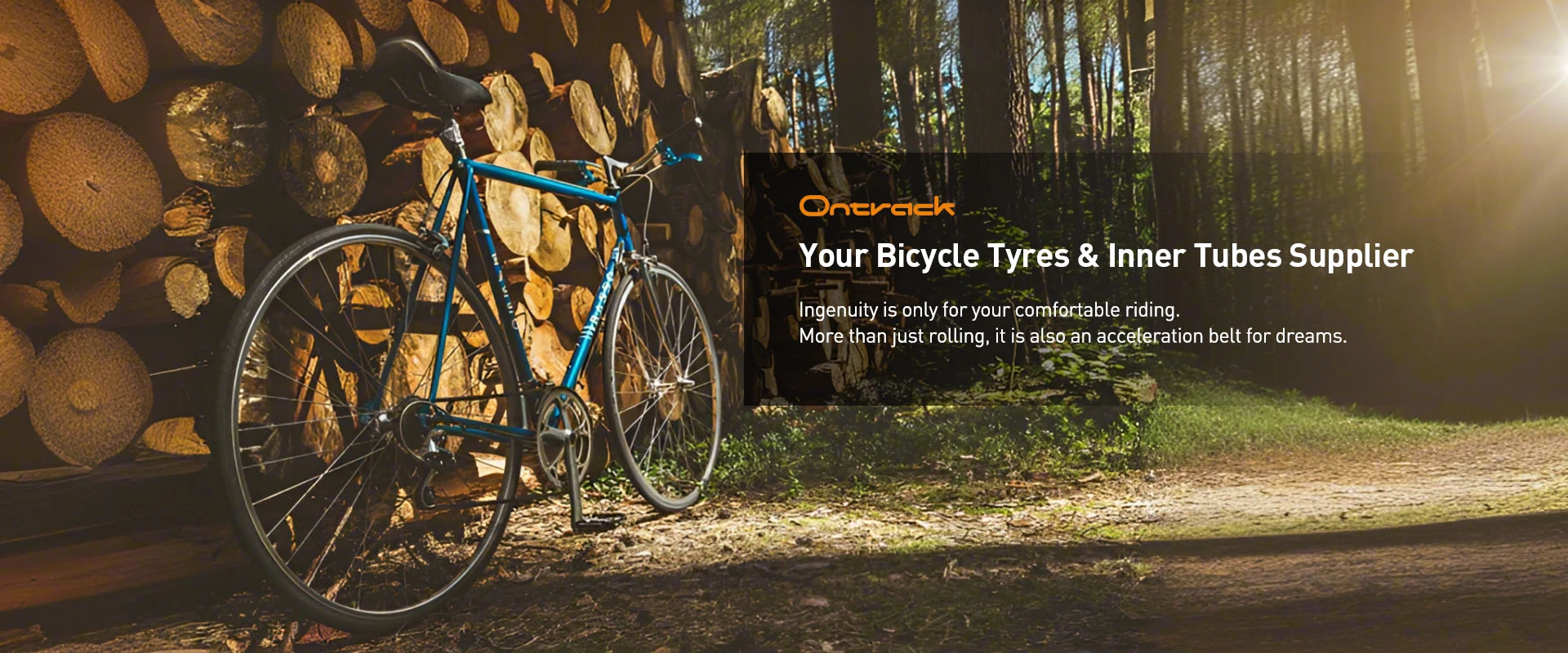 Bicycle Tyres & Inner Tubes